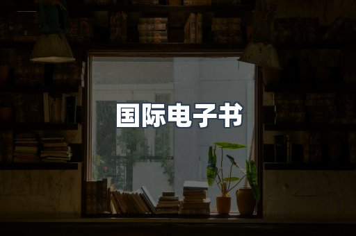 国际电子书